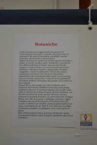 Ragazzeinvolo.Pannello7.1